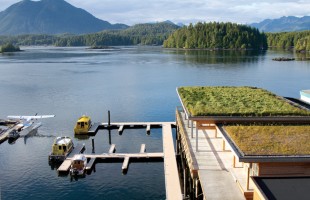 The Shore Tofino gallery